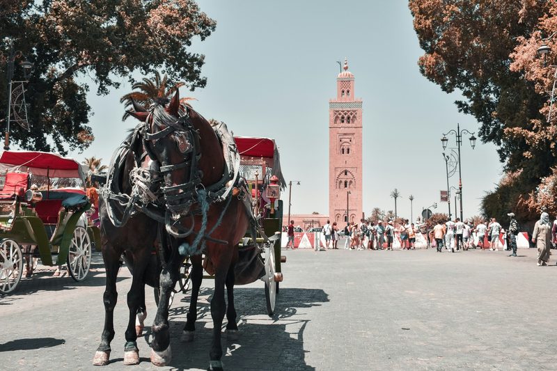 Marrakech cityscape